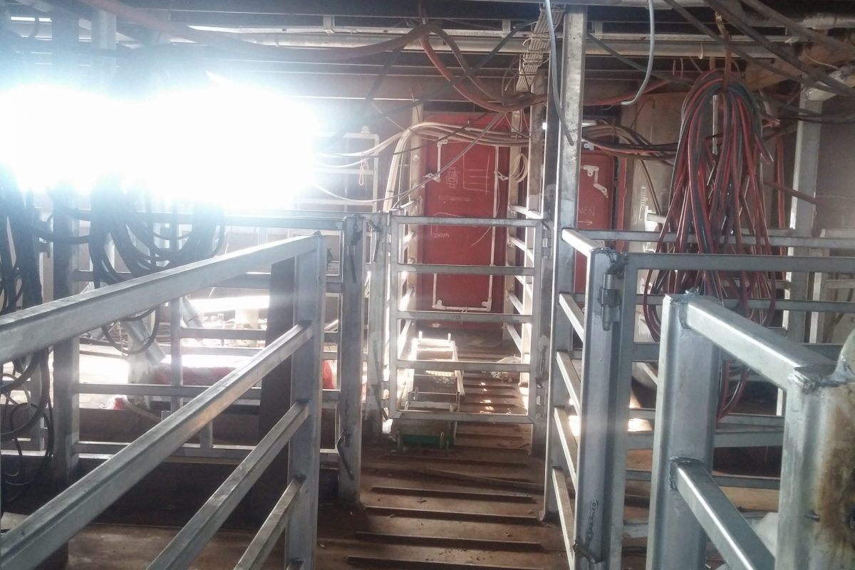 Güçlendirme, Dönüşüm