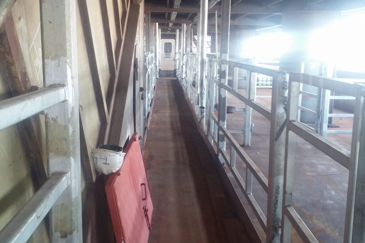 Güçlendirme, Dönüşüm