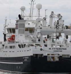 M.YTTERSTAD M.YTTERSTAD